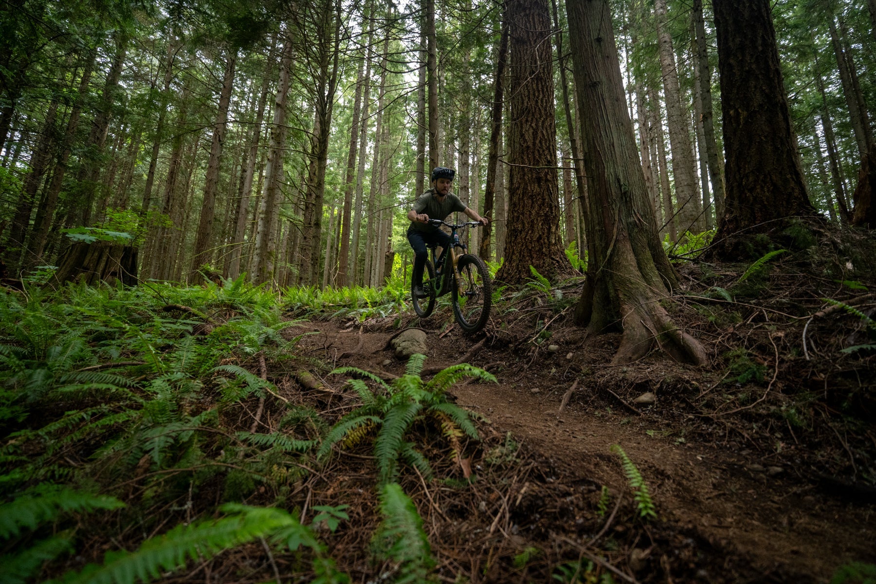 man riding bike with TRP Evo 12 Drivetrain