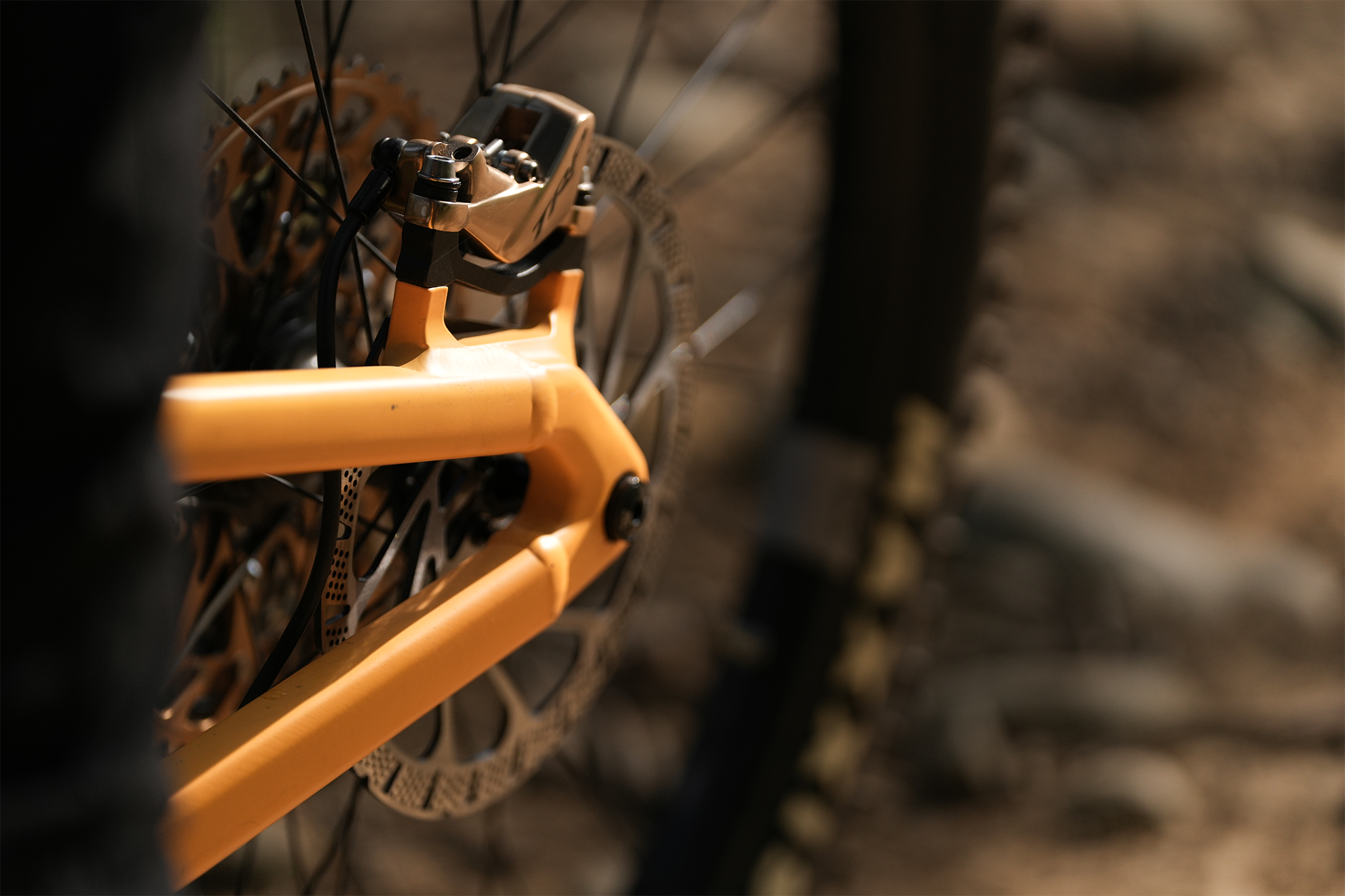 Close up of TRP EVO Pro caliper in gold
