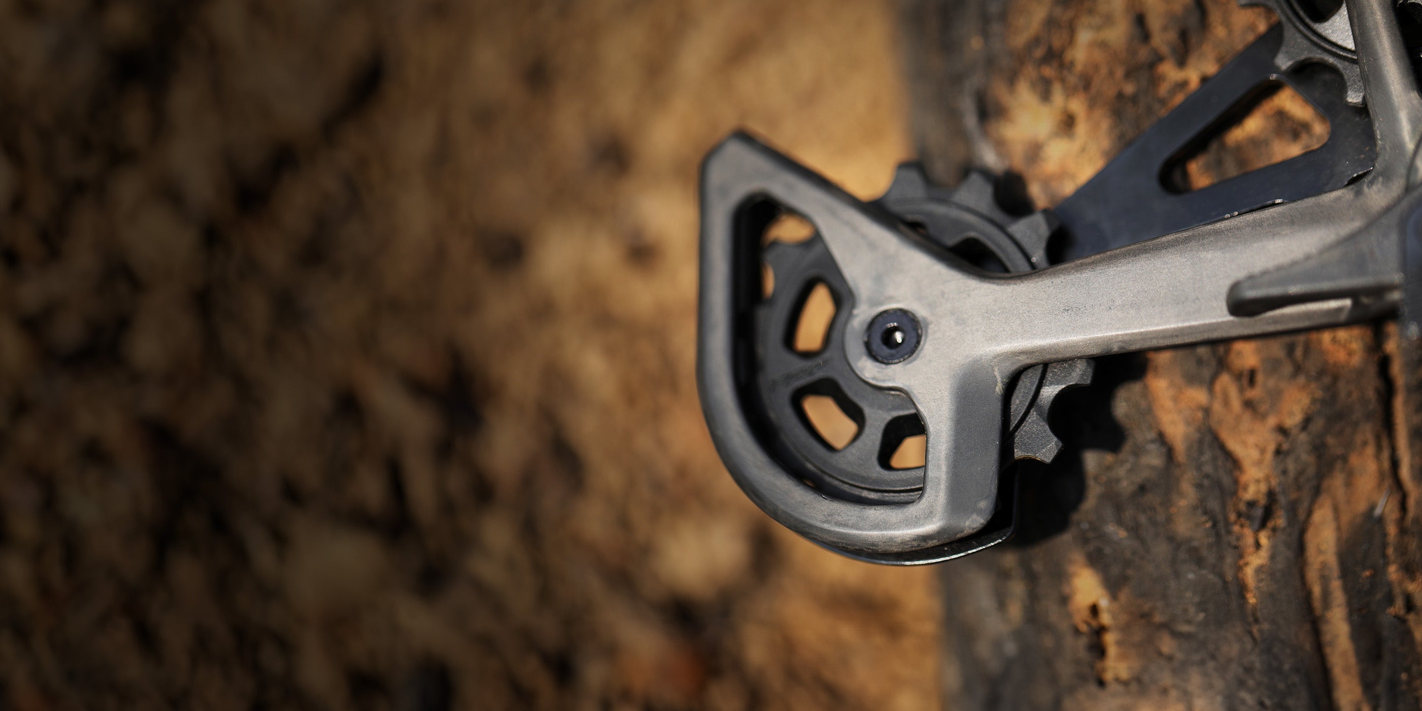 TRP EVO 12-speed derailleur with carbon fiber outer cage for lightweight mountain bike drivetrain performance