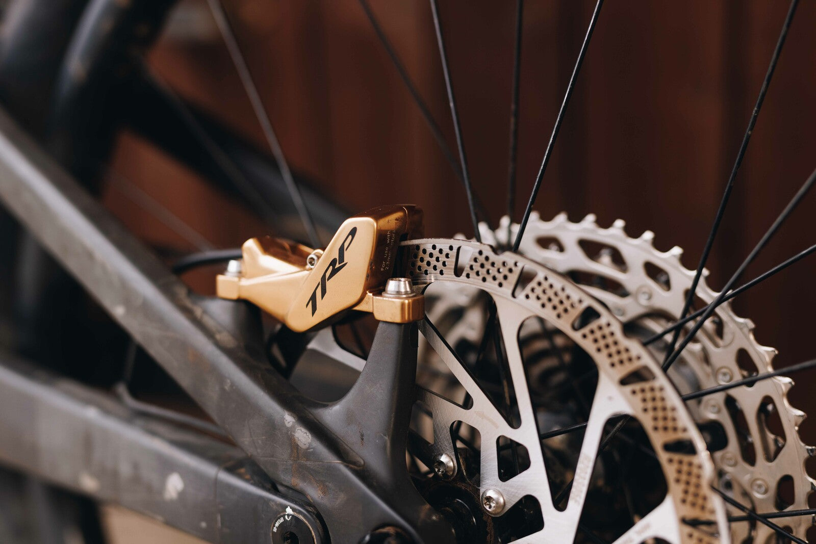 close up of TRP EVO rear plus rotor